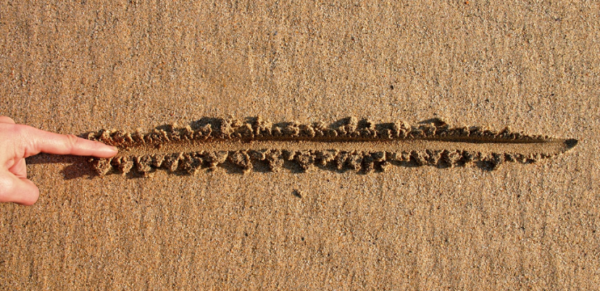 Novo Mindset Expert – Gerar Riqueza – Trace Uma Linha na Areia