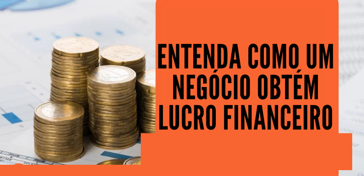 entenda como um negocio obtem lucro finenceiro 1 - Entenda Como Um Negócio Obtém Lucro Financeiro